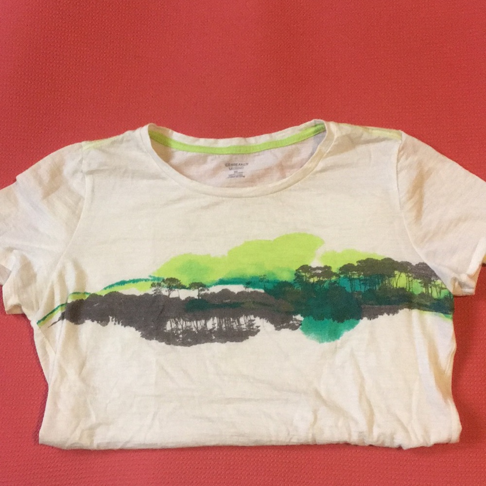 Icebreaker Merino Wool Tee